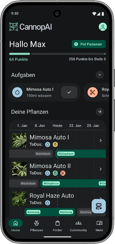 Startseite der CannopAI App